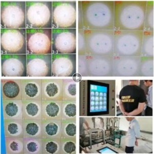 機(jī)器視覺自動檢測煙花質(zhì)量   聲光停機(jī)三重報(bào)警安全隱患